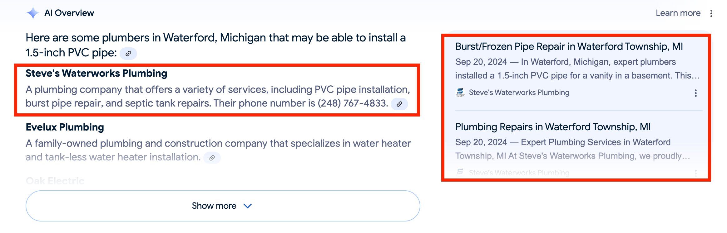 Plumbing Company AI Overview (Screenshot)