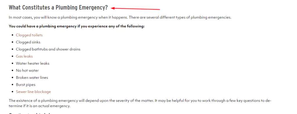 Plumbing Heading Example from Website (Screenshot)